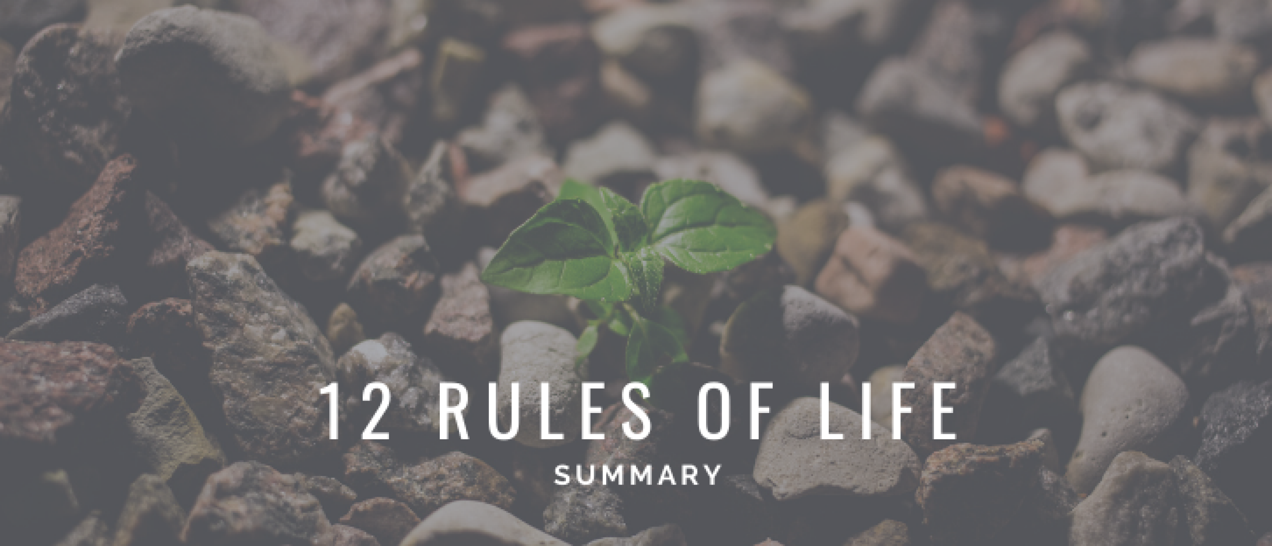 Summary 12 Rules for Life by Jordan B. Peterson