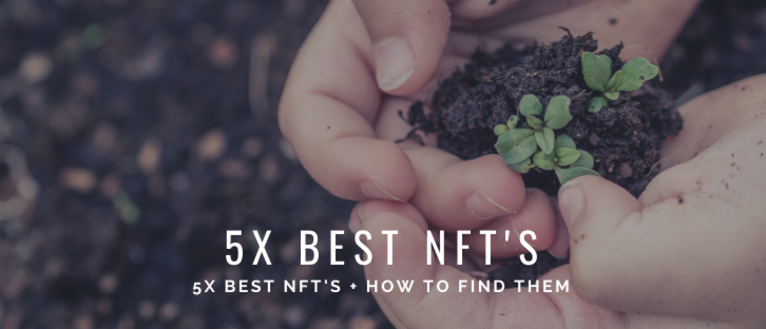 5x Best NFT in 2022 and How To Find The Best NFTs