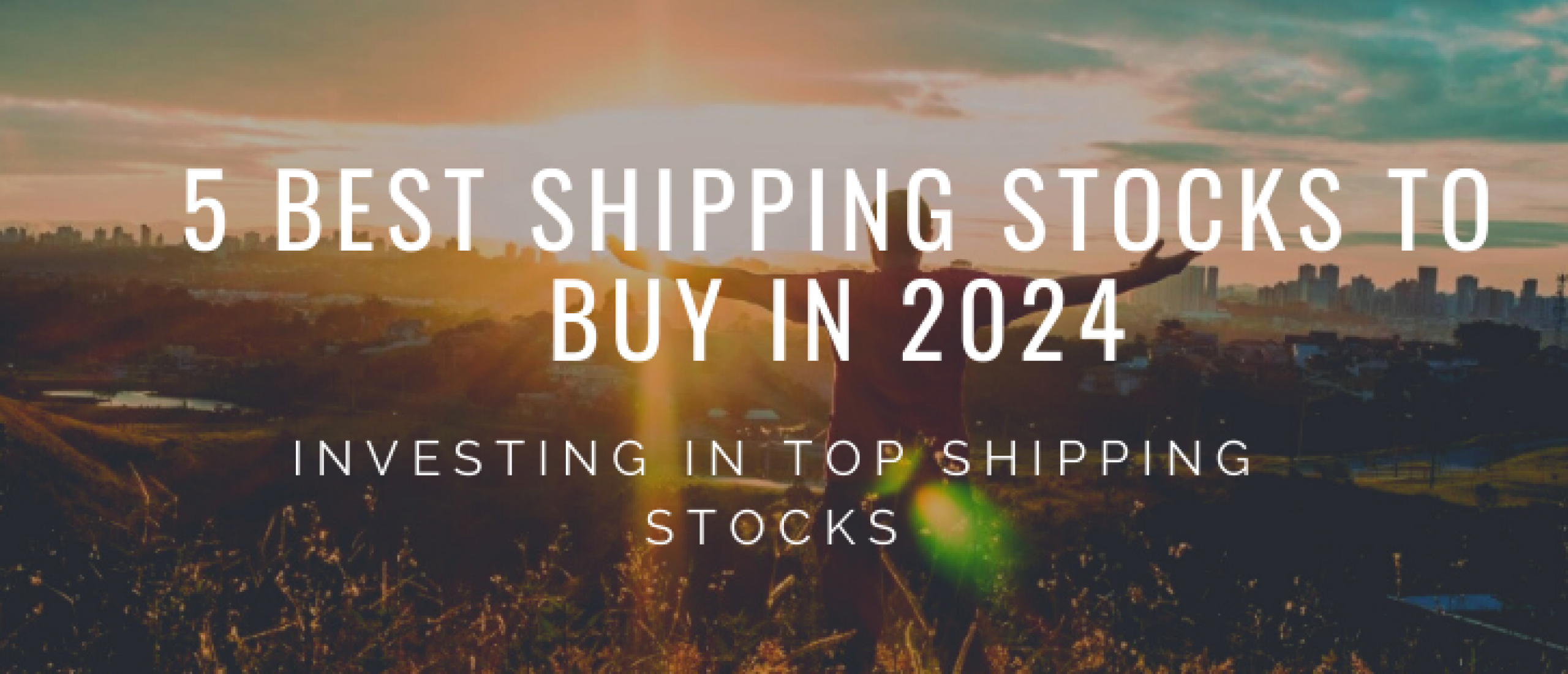 5 Best Shipping Stocks to Buy in 2024: Investing in TOP Shipping Stocks