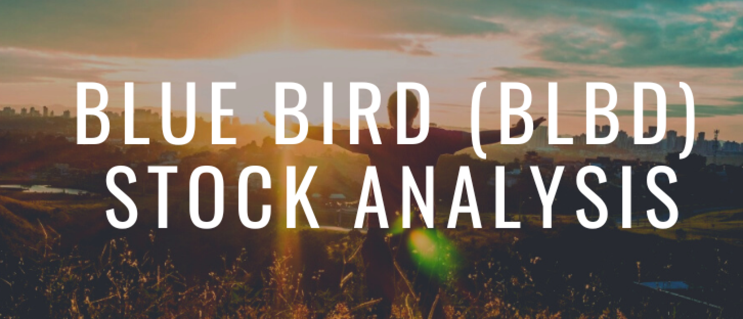 Interesting Value Stock Blue Bird Corp (BLBD): A Buy in 2024? BLD Stock Analysis and Price Forecast
