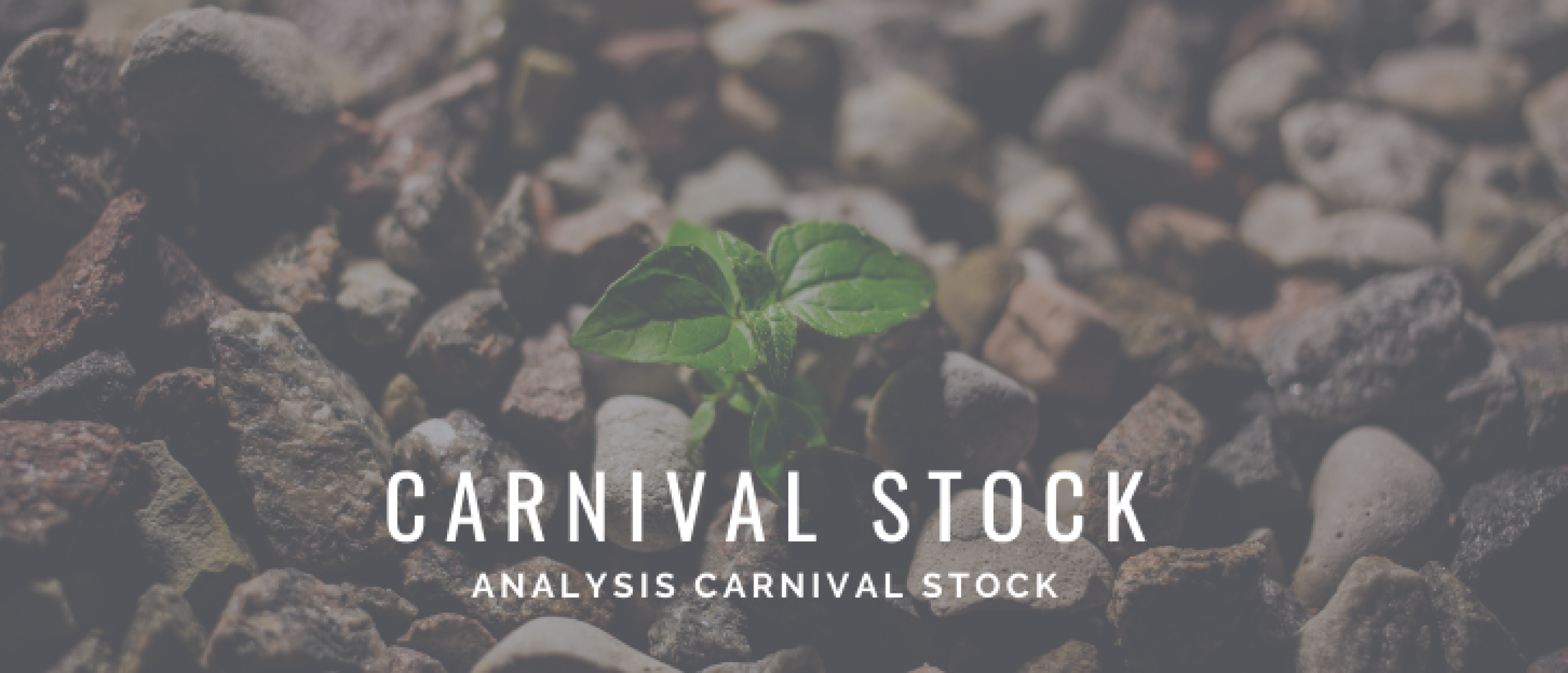 Buy Carnival Stock or not? Analysis and Price Target [2022]