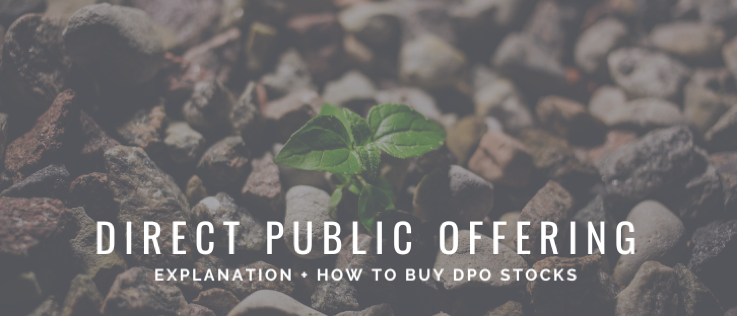 Direct Public Offering (DPO) Explained | Happy Investors