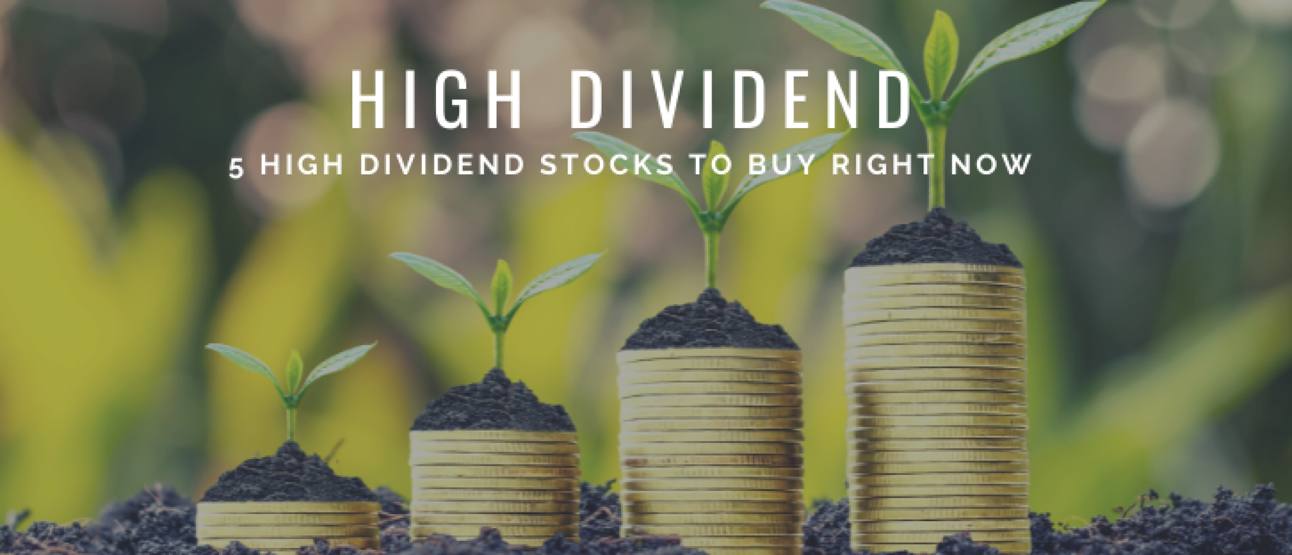 5 High Dividend Stocks to Buy in April 2022