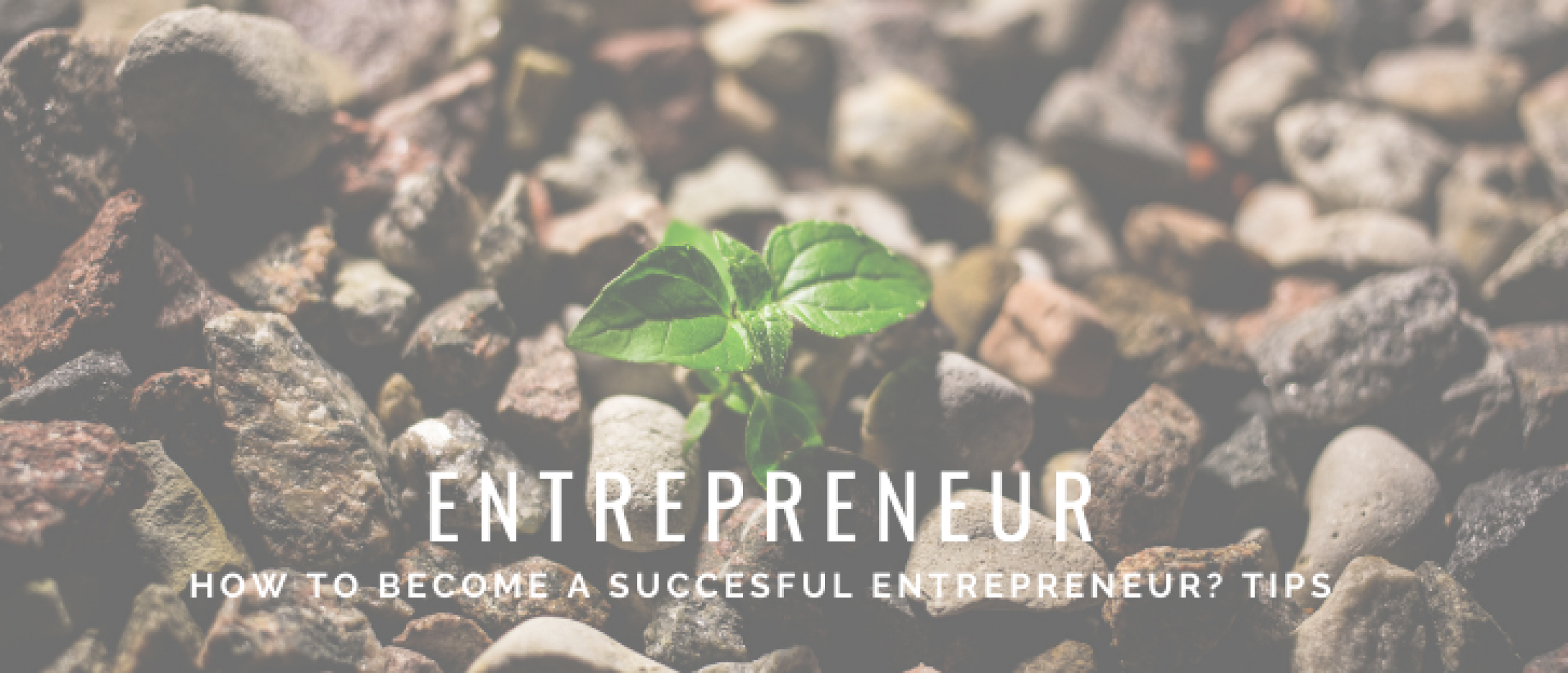 How to Become a Successful Entrepreneur? 10 Tips
