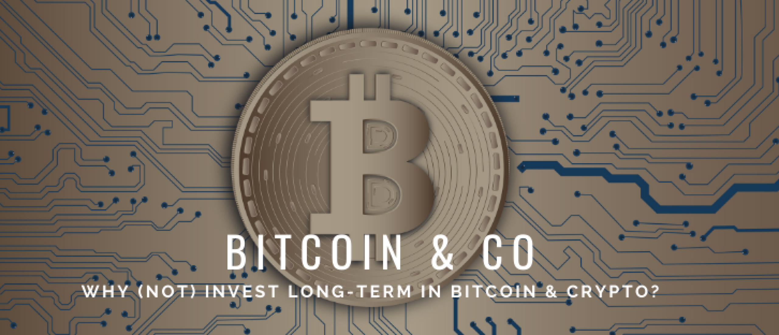 Long-Term Investing in Bitcoin and Crypto Coins: Future or Failure?