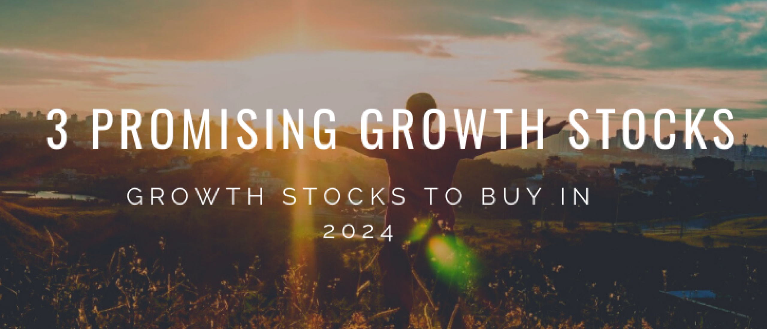 3 Promising Growth Stocks to Buy in February 2024 | Happy Investors