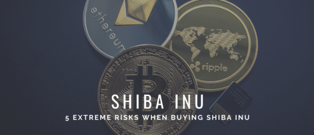 Buy Shiba Inu Coin? Beware of 5 Extreme Risks