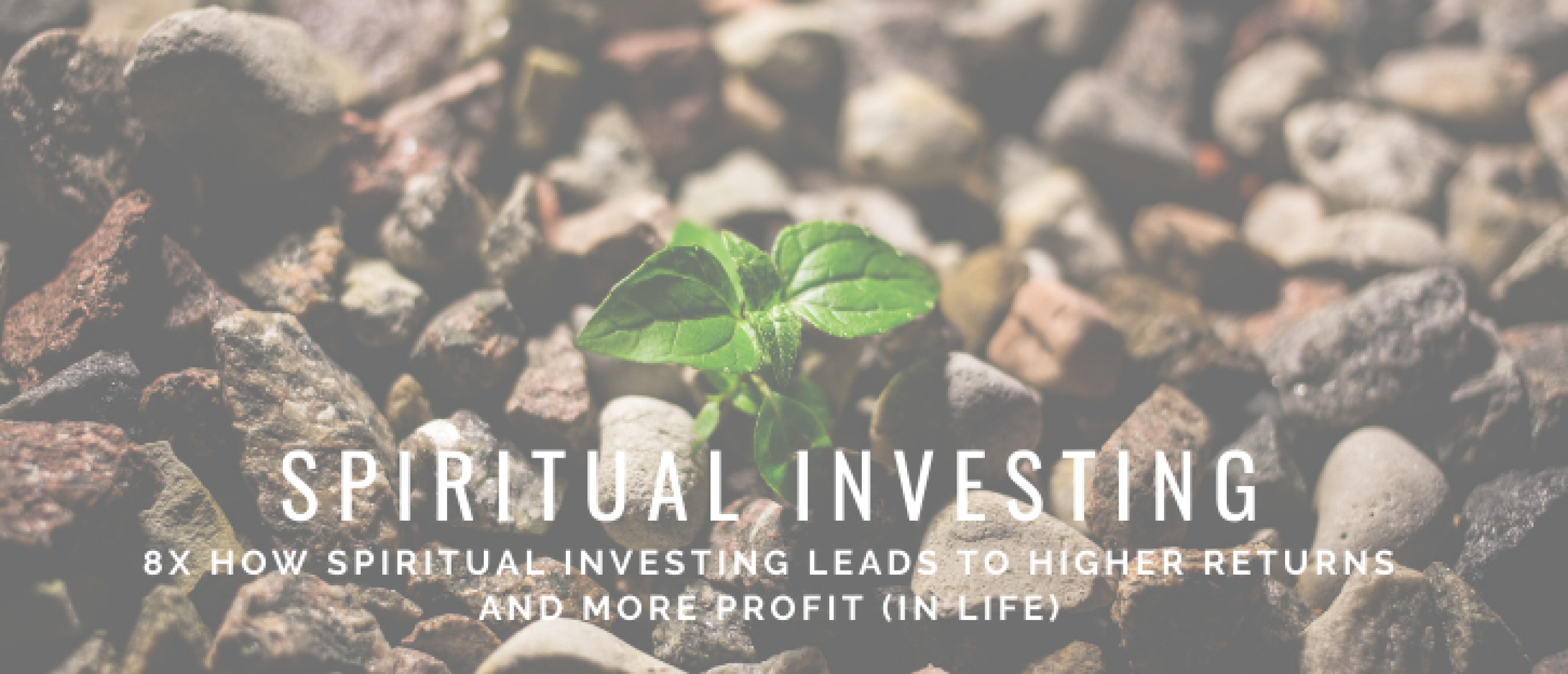Spiritual investing: How to become a spiritual investor