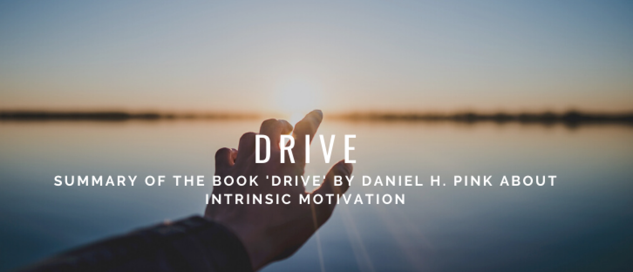 Summary Drive by Daniel H. Pink