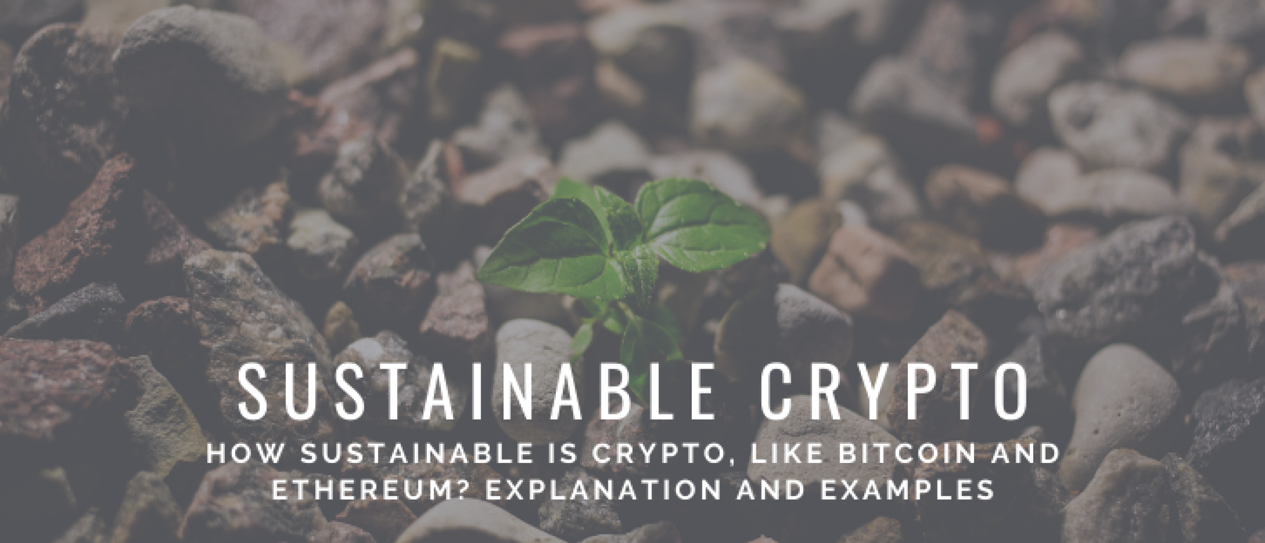 Sustainable Crypto Coins: Which Crypto Are Sustainable?