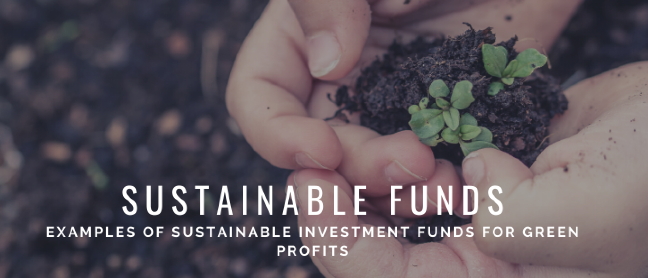 5x Best Sustainable Investment Funds: Green Returns