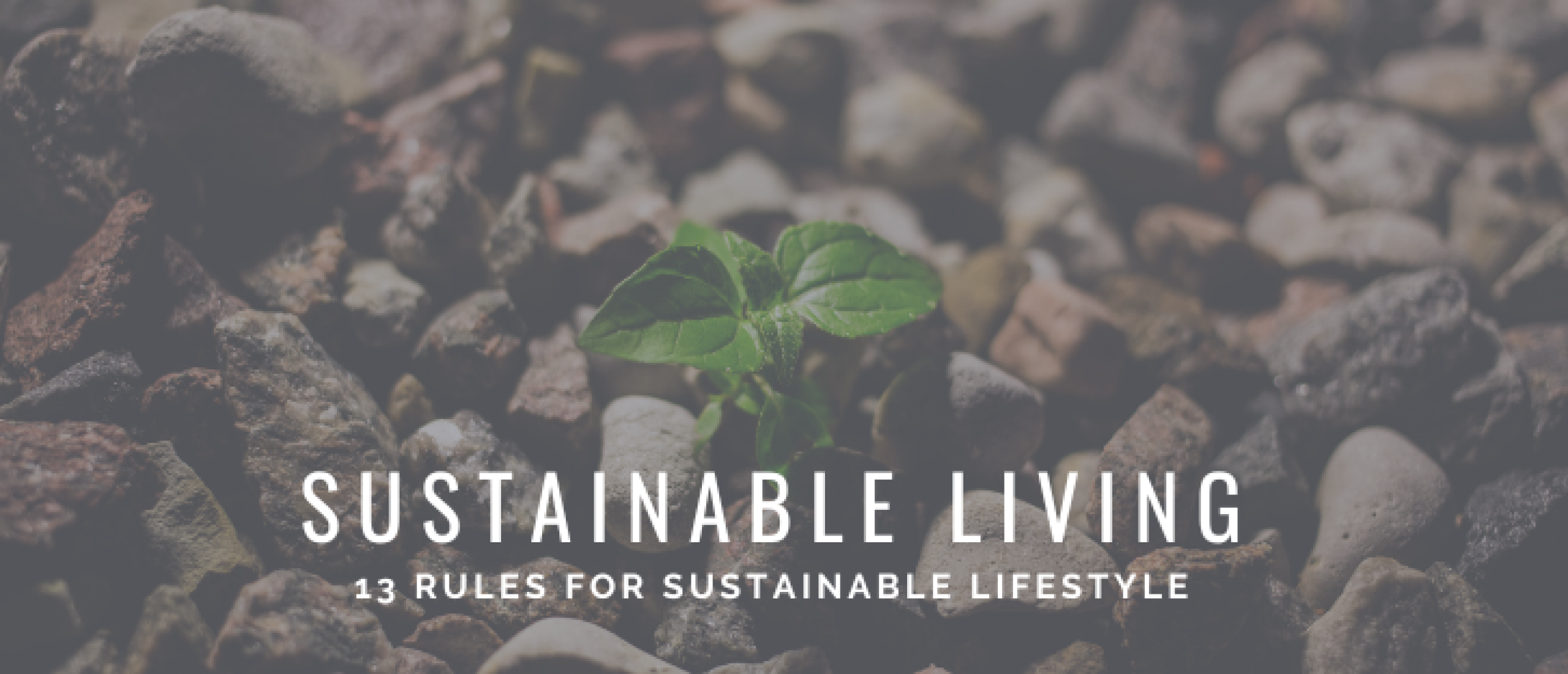 Sustainable Living: 13 Rules for Sustainable Lifestyle | Happy Investors