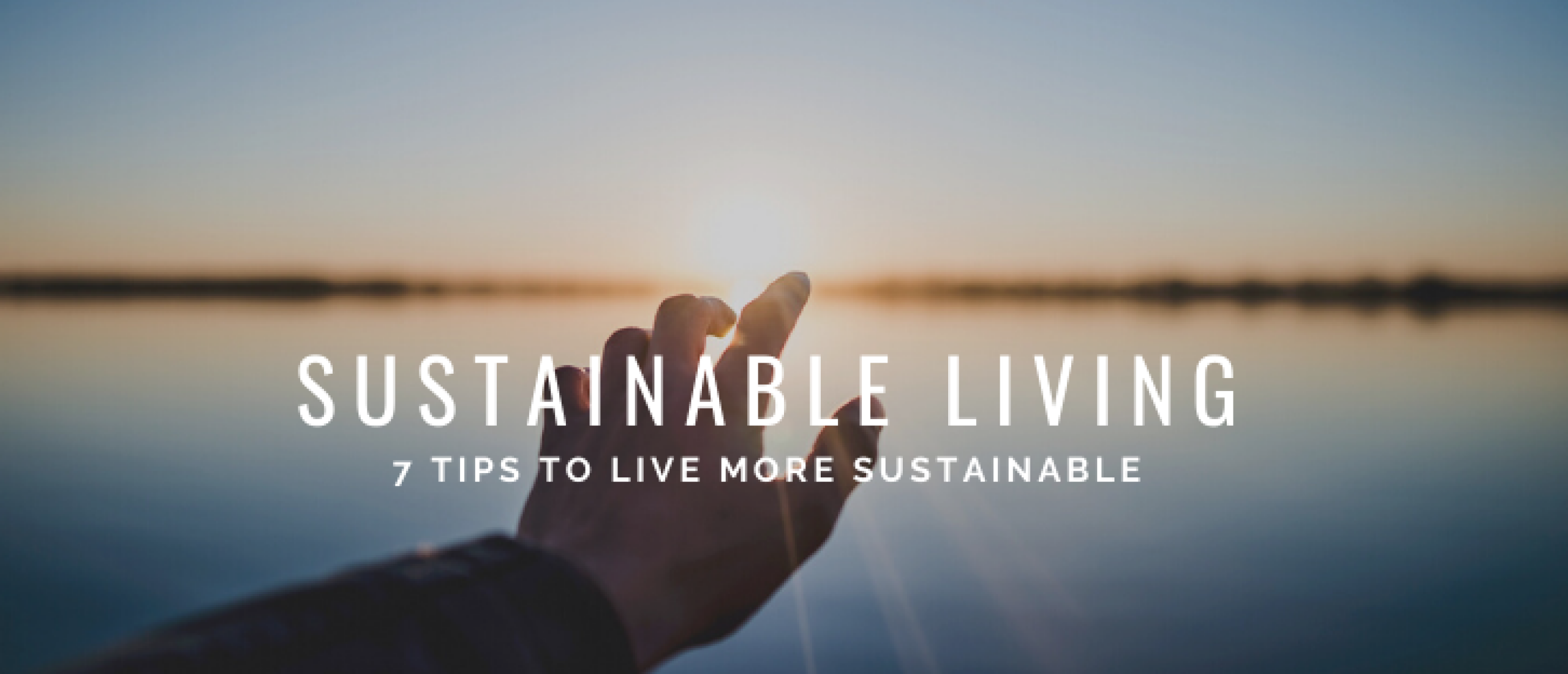 7 Tips for Sustainable Living: Grow Nature and Life
