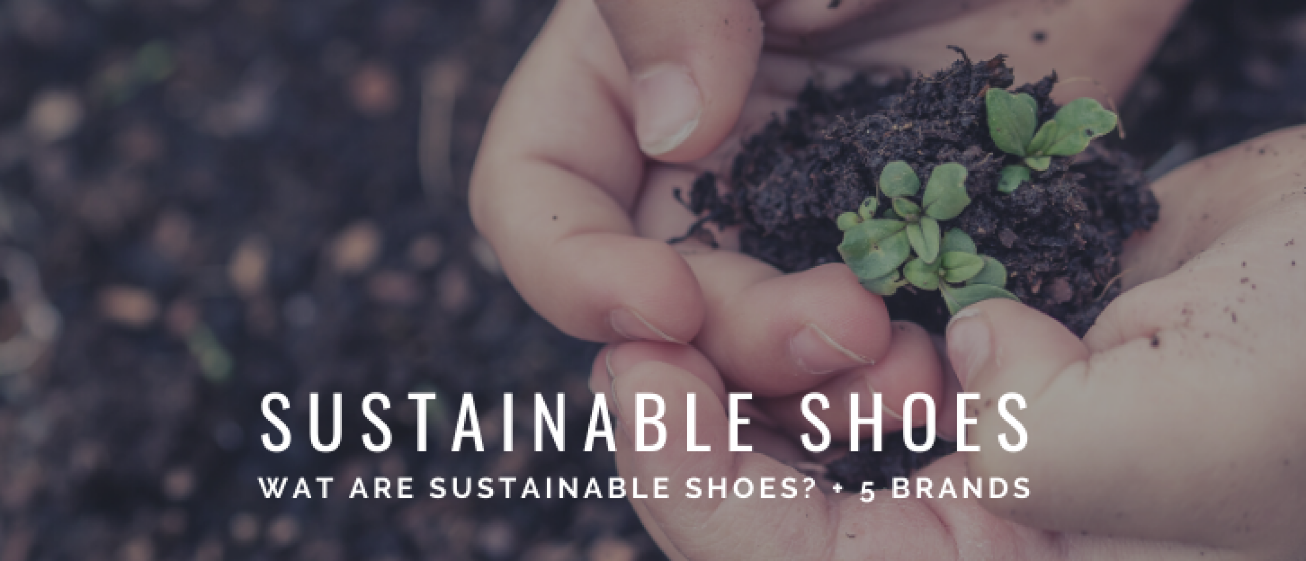 What are Sustainable Shoes? 5 Brands + Explanation