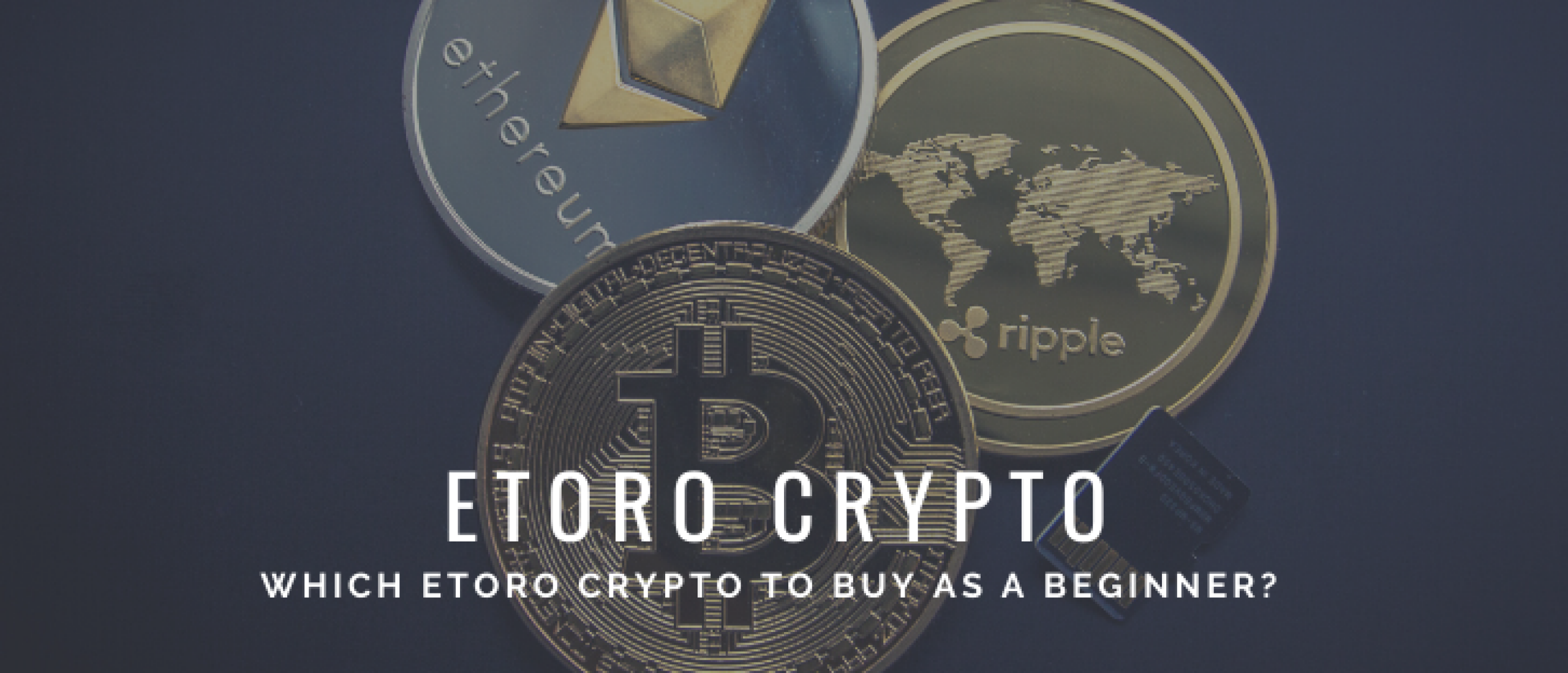 Which eToro Crypto to Buy as a Beginner? Tips to Begin