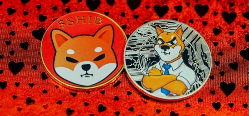why-not-buy-shiba-inu-coin