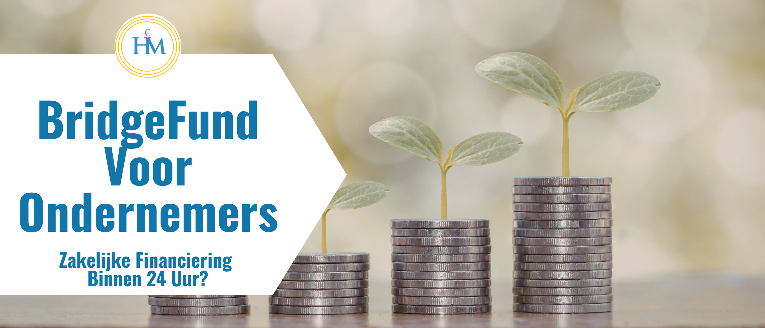 review-bridgefund-voor-ondernemers