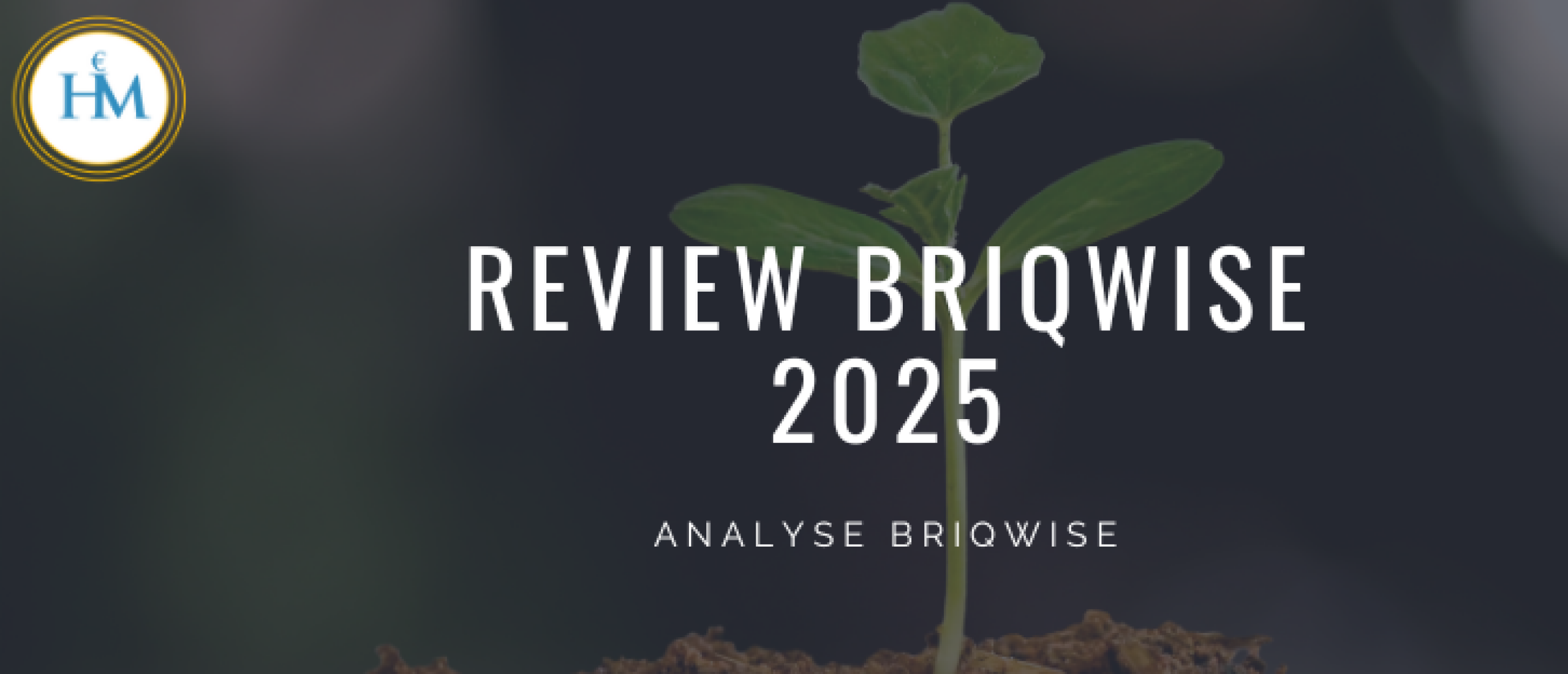 review-briqwise-2025