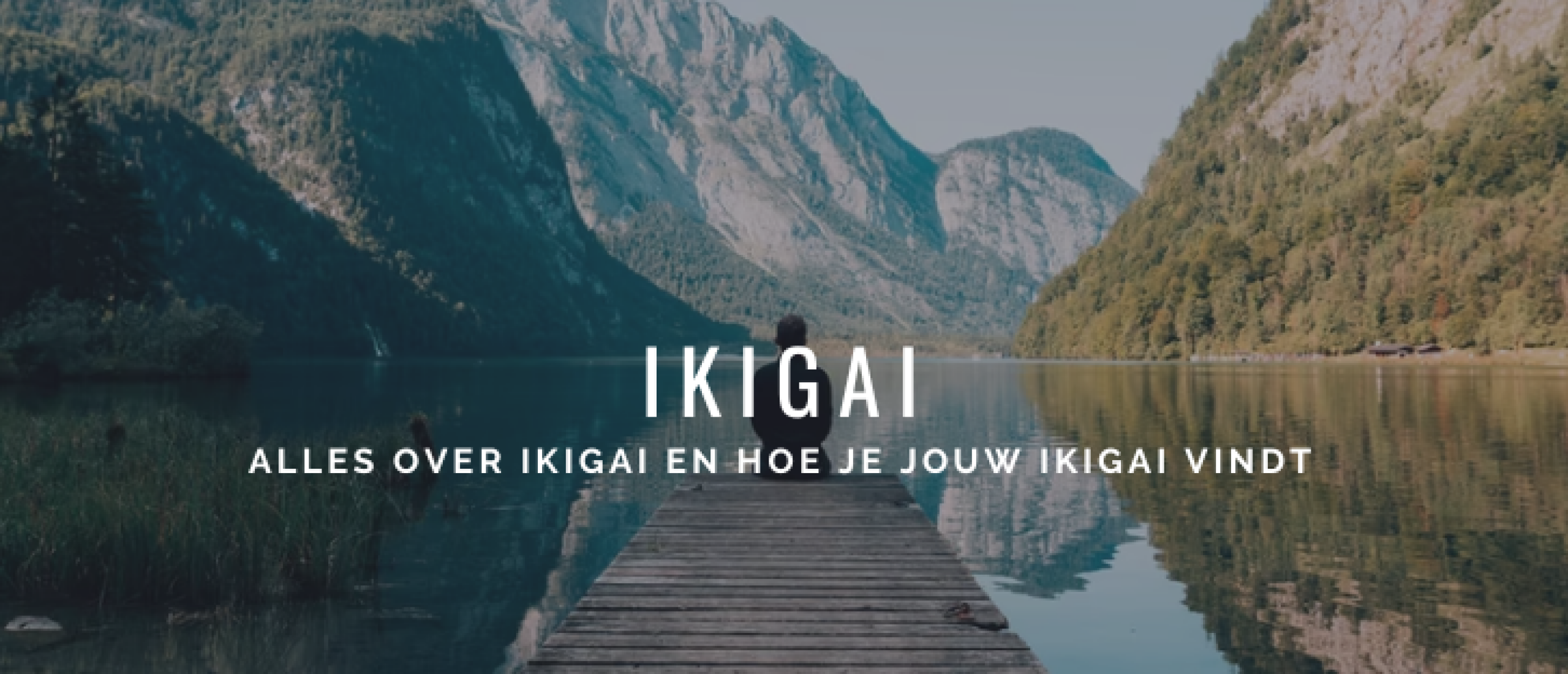 Wat is Ikigai: Hoe vind ik mijn Ikigai? 3 Stappen | Happy Investors