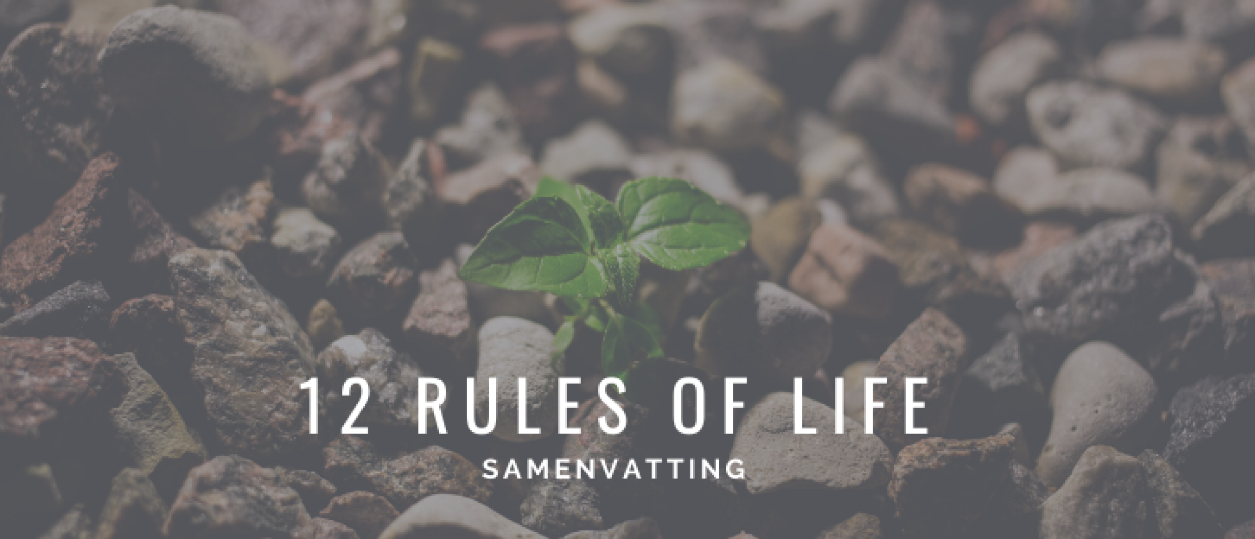 12-rules-of-life-samenvatting