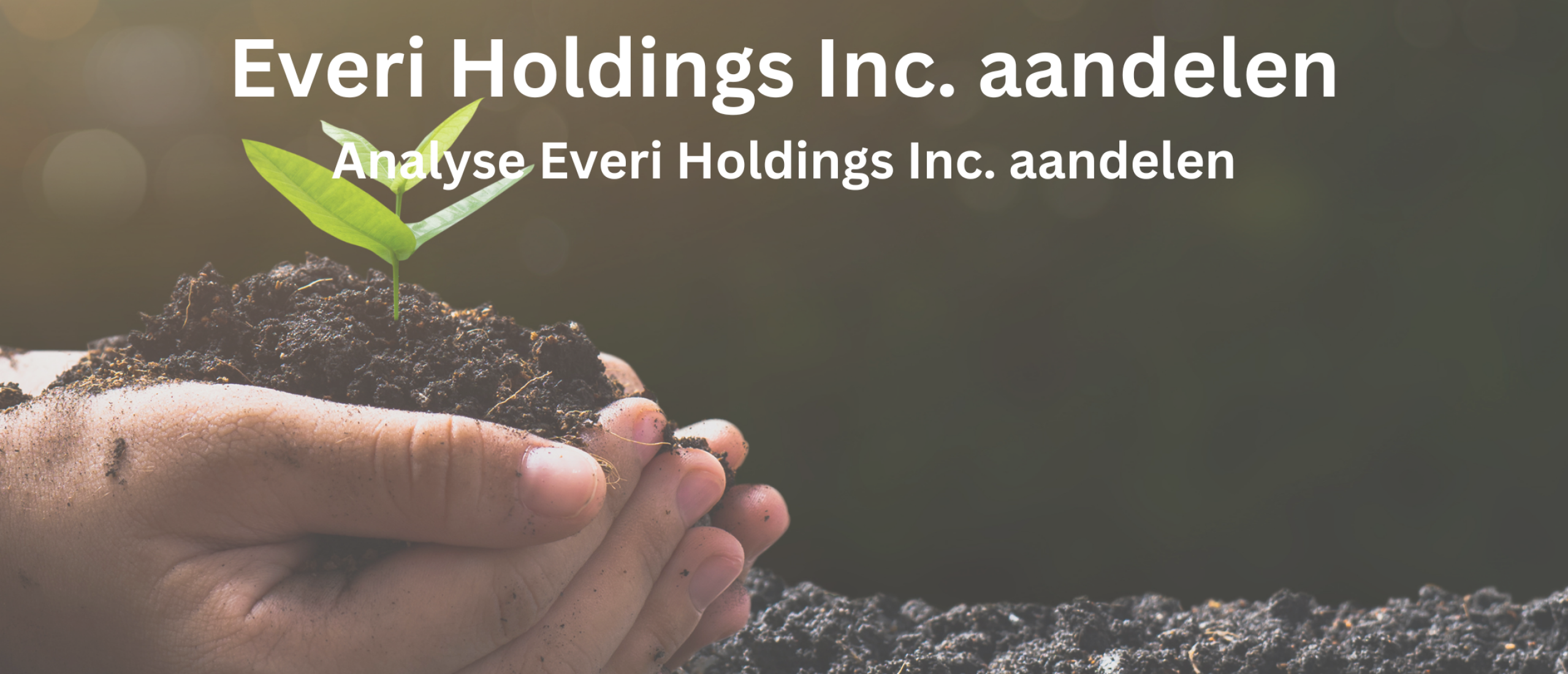 Small cap aandeel Everi Holdings aandelen kopen? Analyse + 41,3% Groei | Happy Investors