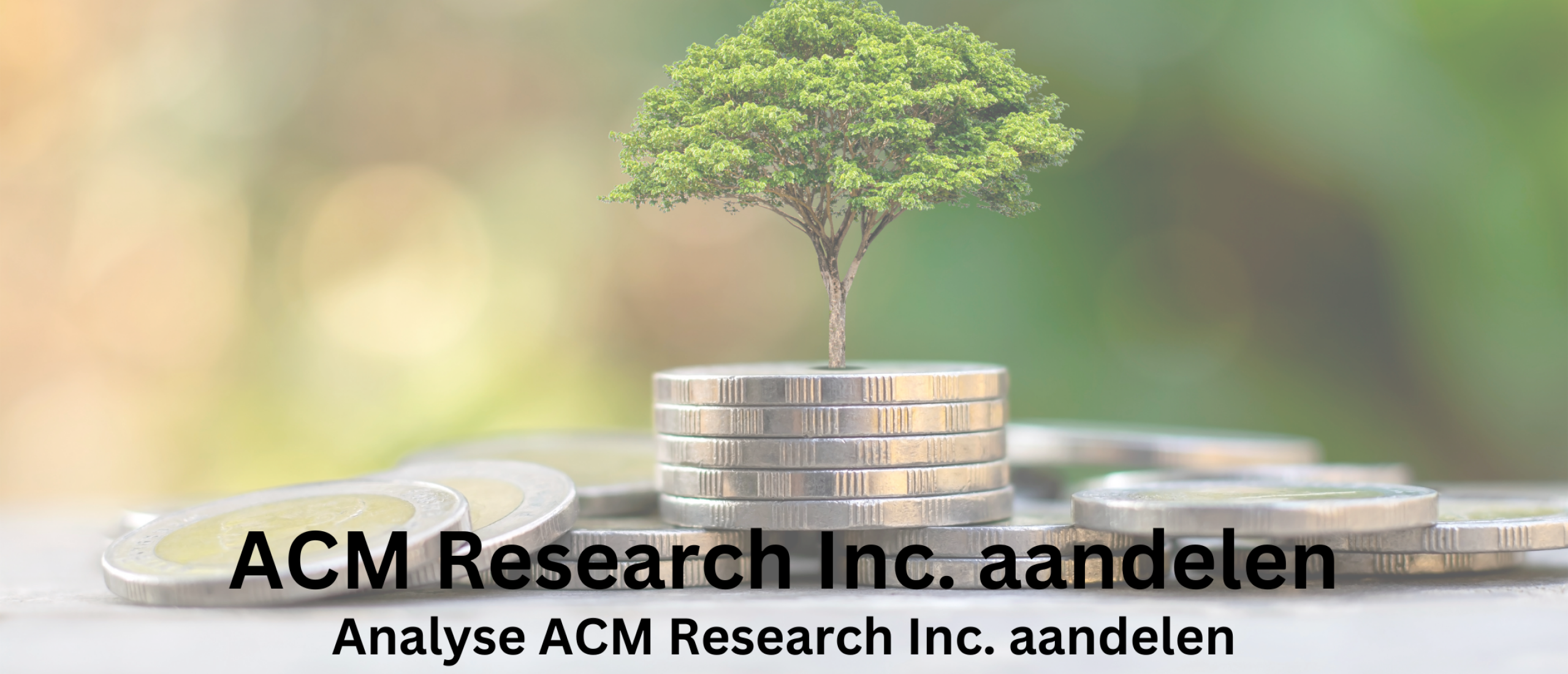 Small cap aandeel ACM Research aandelen kopen? Analyse +38,8% Groei | Happy Investors
