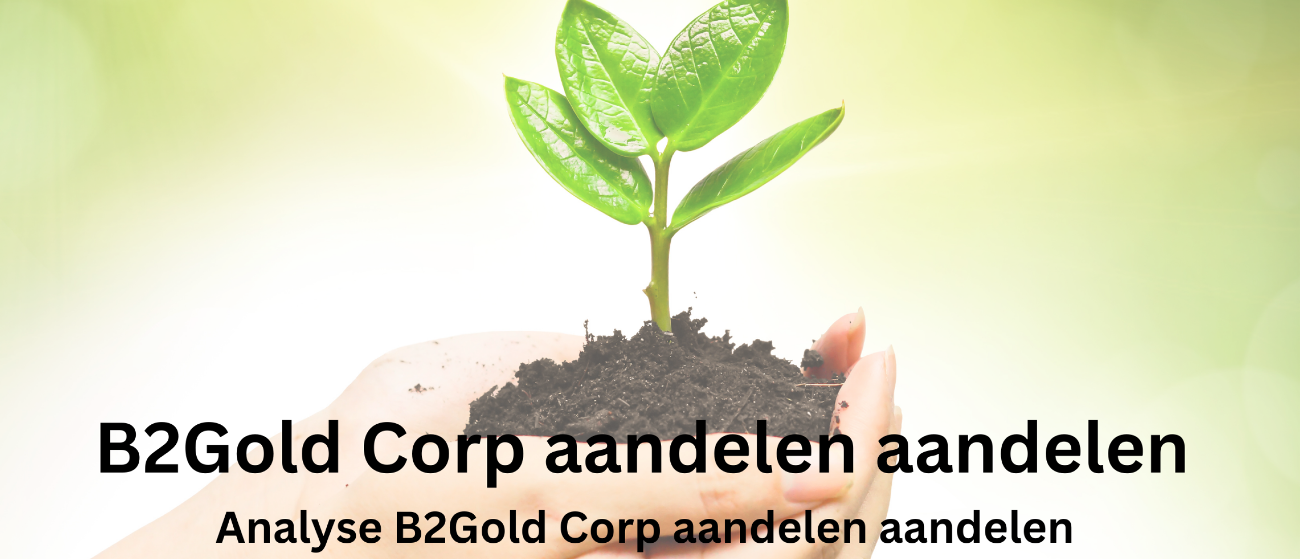 B2Gold Corp aandelen