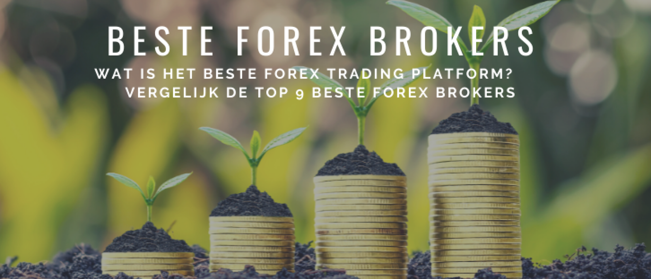 Beste Forex Brokers: TOP 9 Forex Trading Platformen | Happy Investors