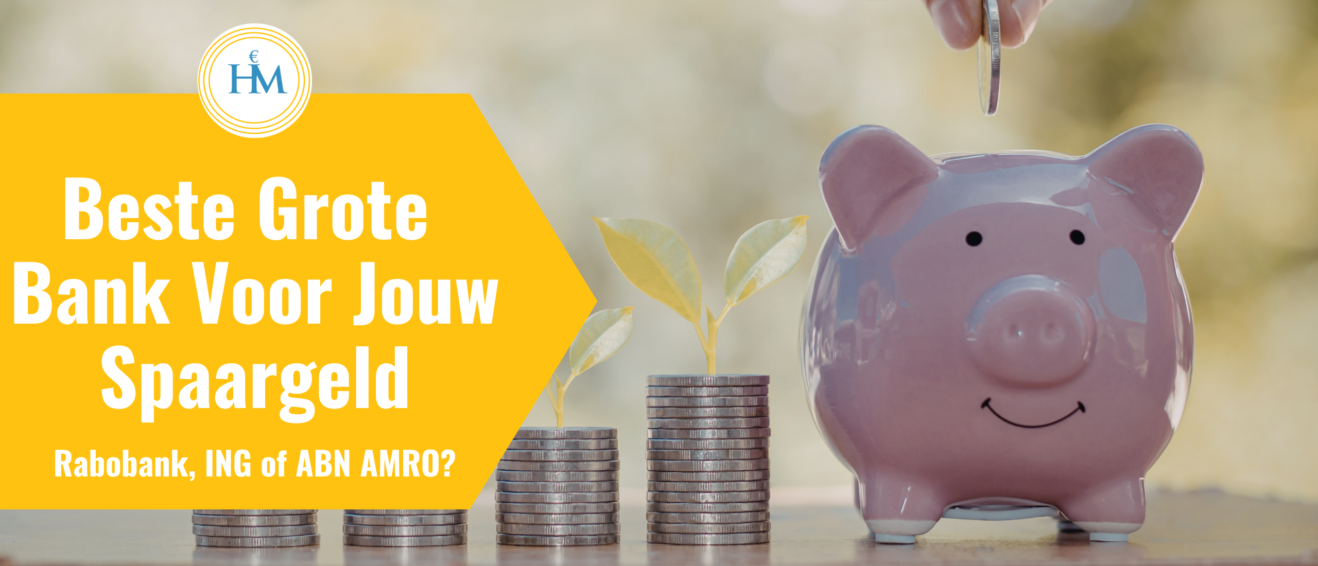 beste-grote-bank-voor-sparen