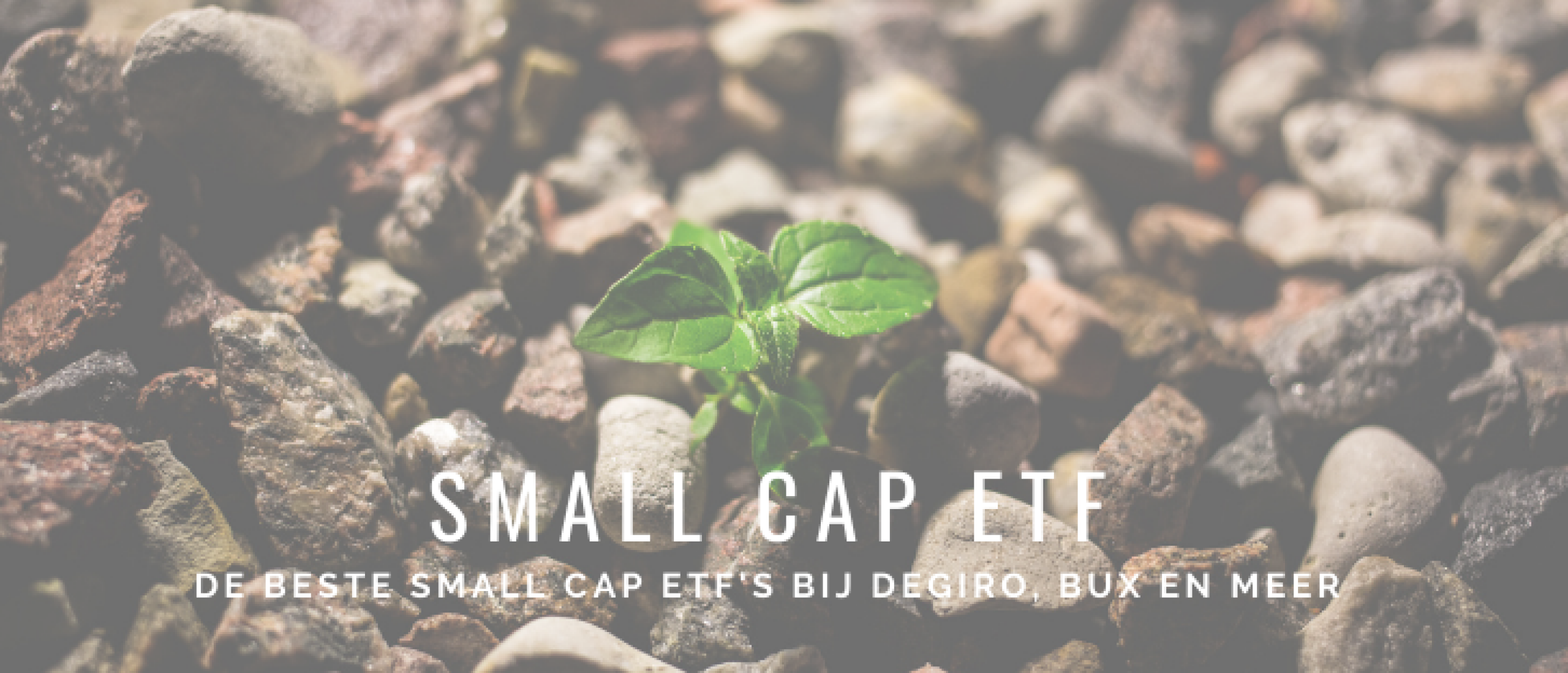 Small Cap ETF’s Kopen? 7x Beste Small Cap ETF DEGIRO, BUX en Meer