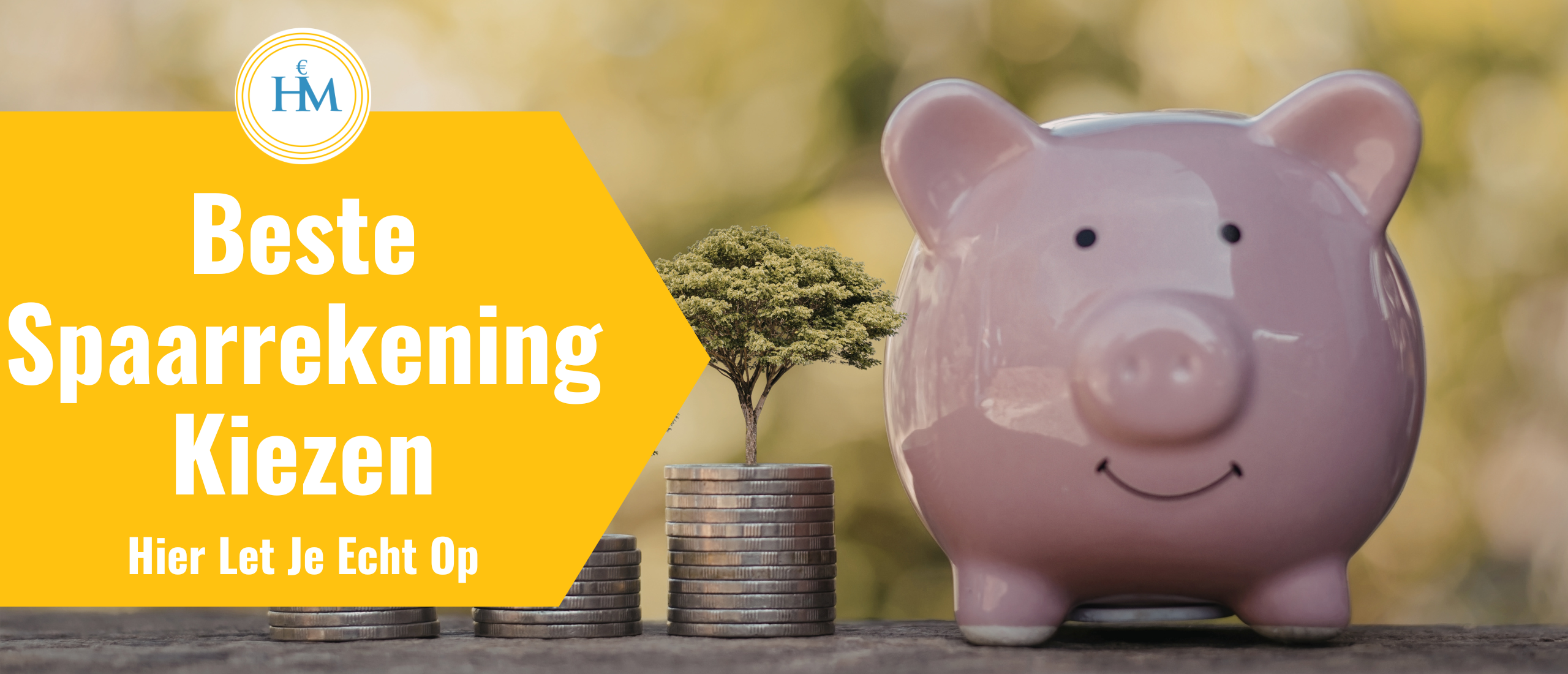 beste-spaarrekening-kiezen