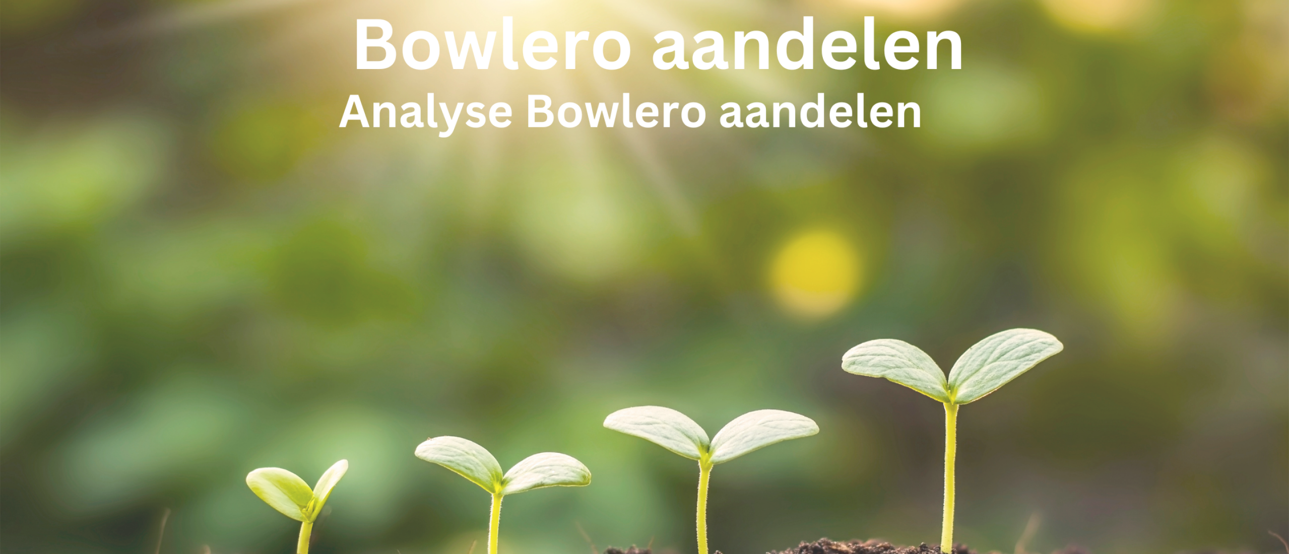 bowlero-