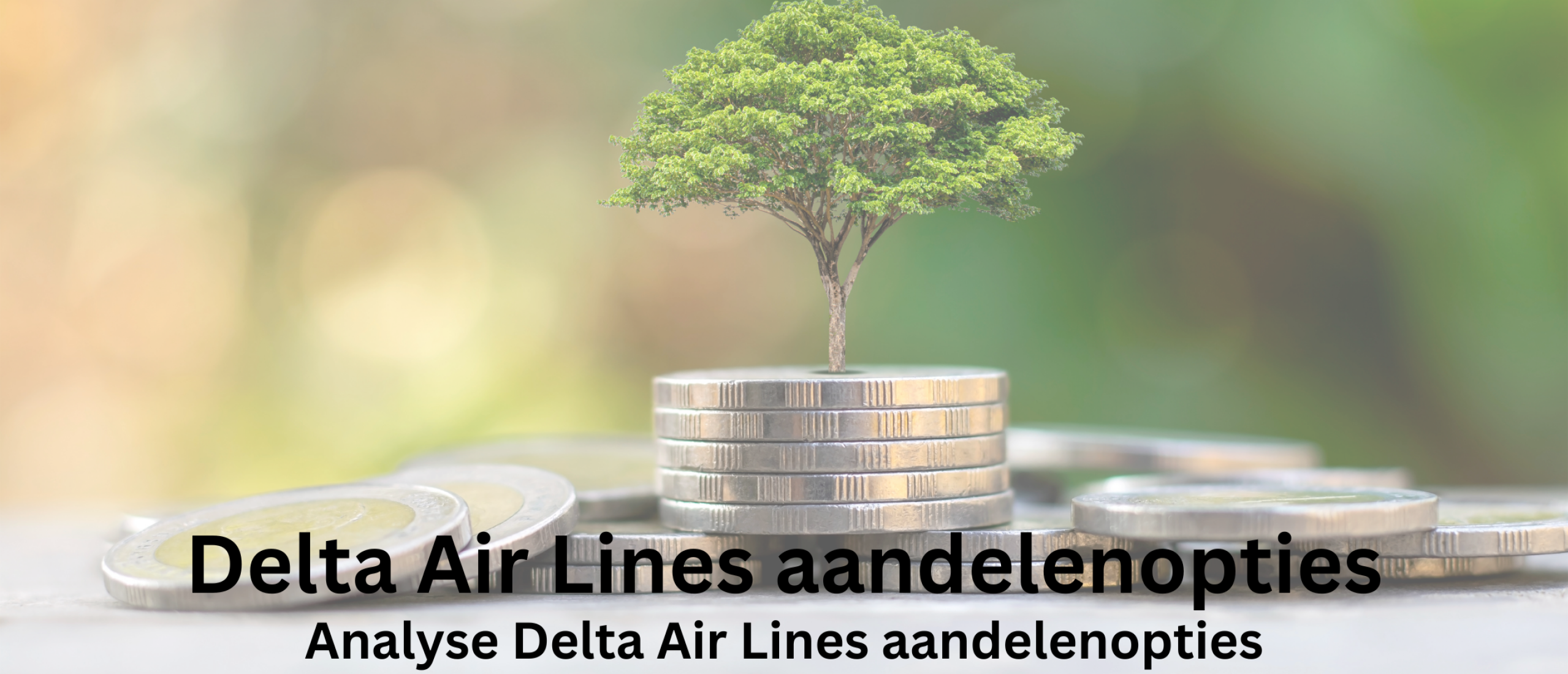 Delta Air Lines aandelen opties kopen | Happy Investors