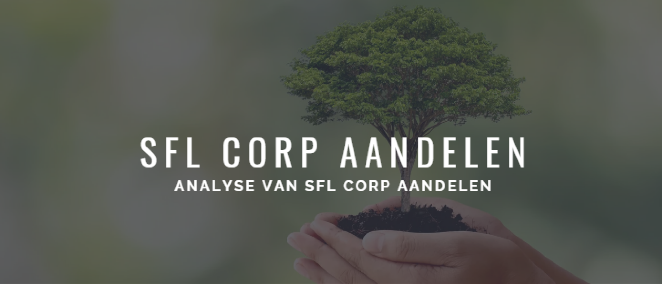 SFL Corp Aandelen kopen of niet? Analyse +34% Groei | Happy Investors