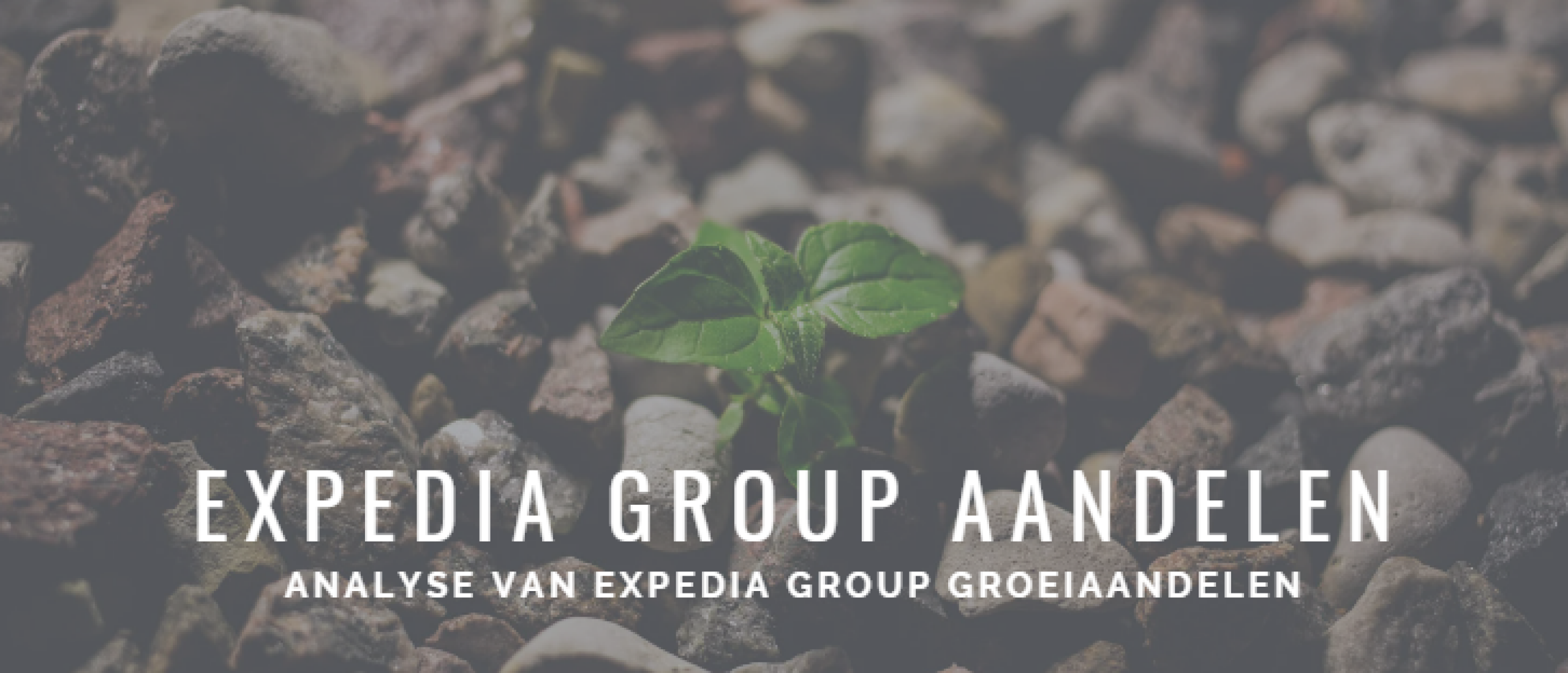 Expedia Group Aandelen kopen? Analyse +42% Groei | Happy Investors