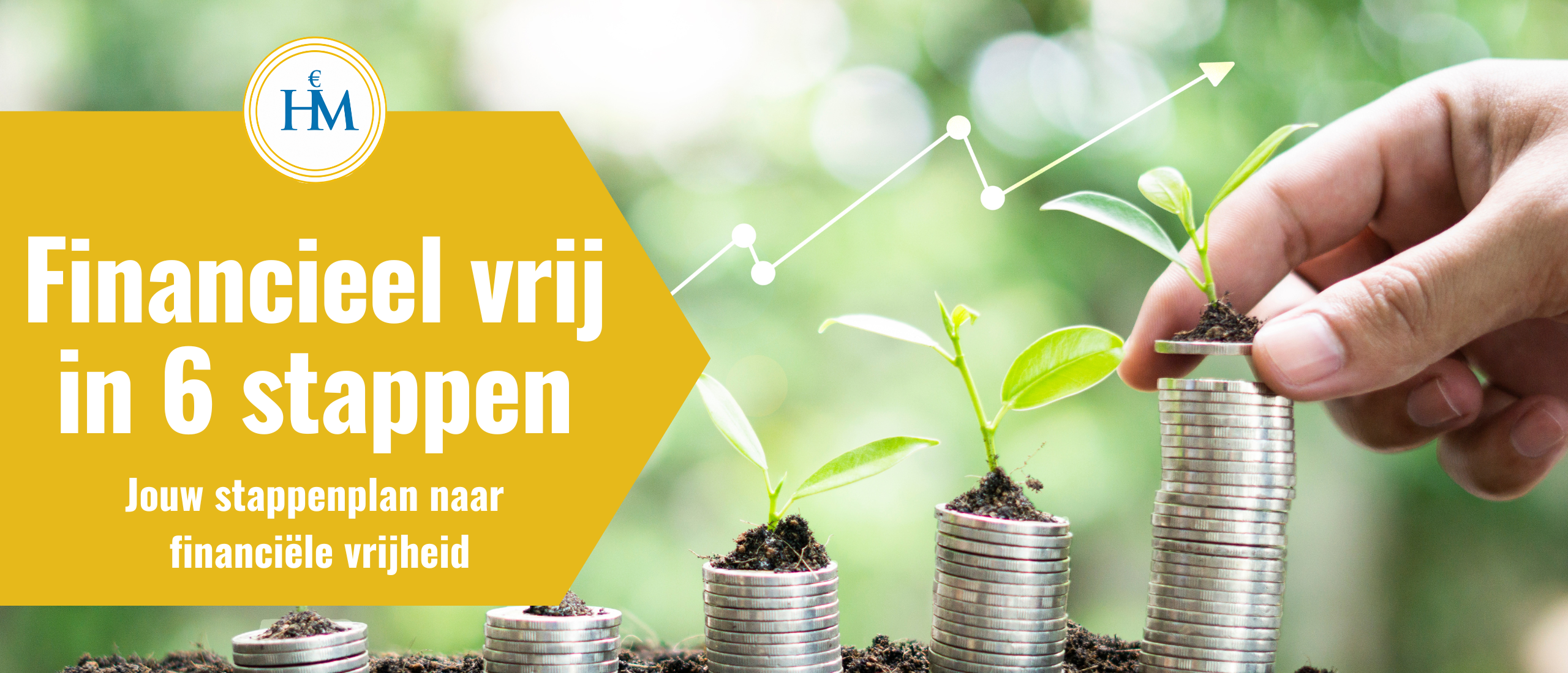financieel-vrij-in-6-stappen