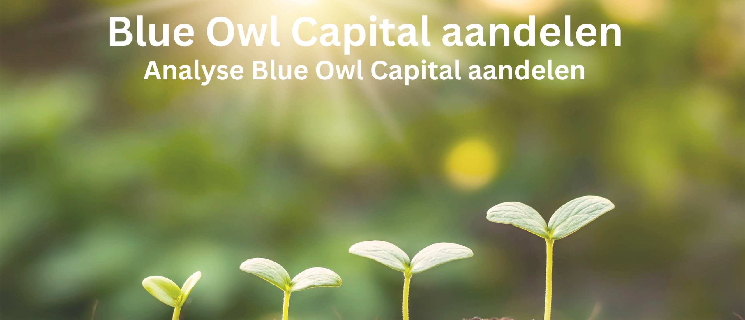 kopen-aandelen-blue-owl-capital-aandelen