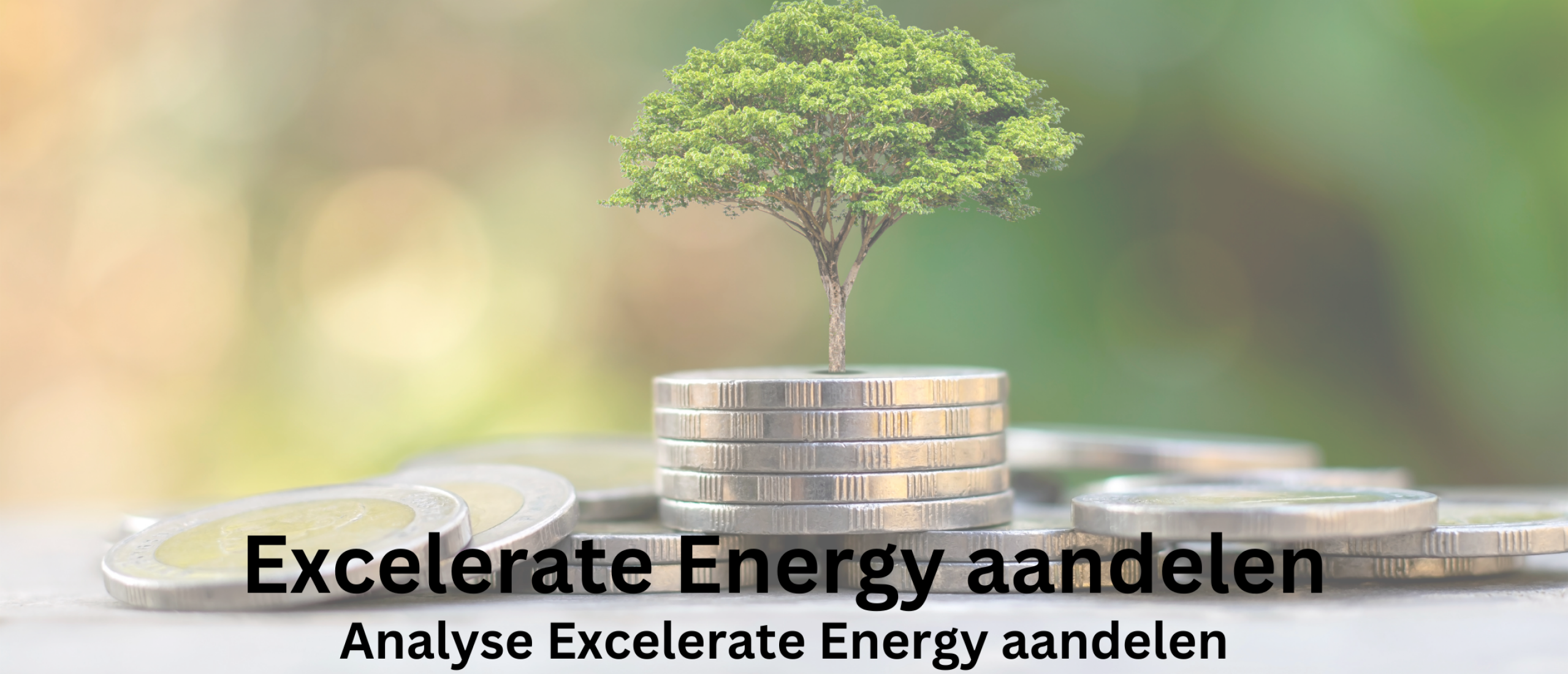 Excelerate Energy aandelen kopen? Analyse +54,3% Groei | Happy Investors