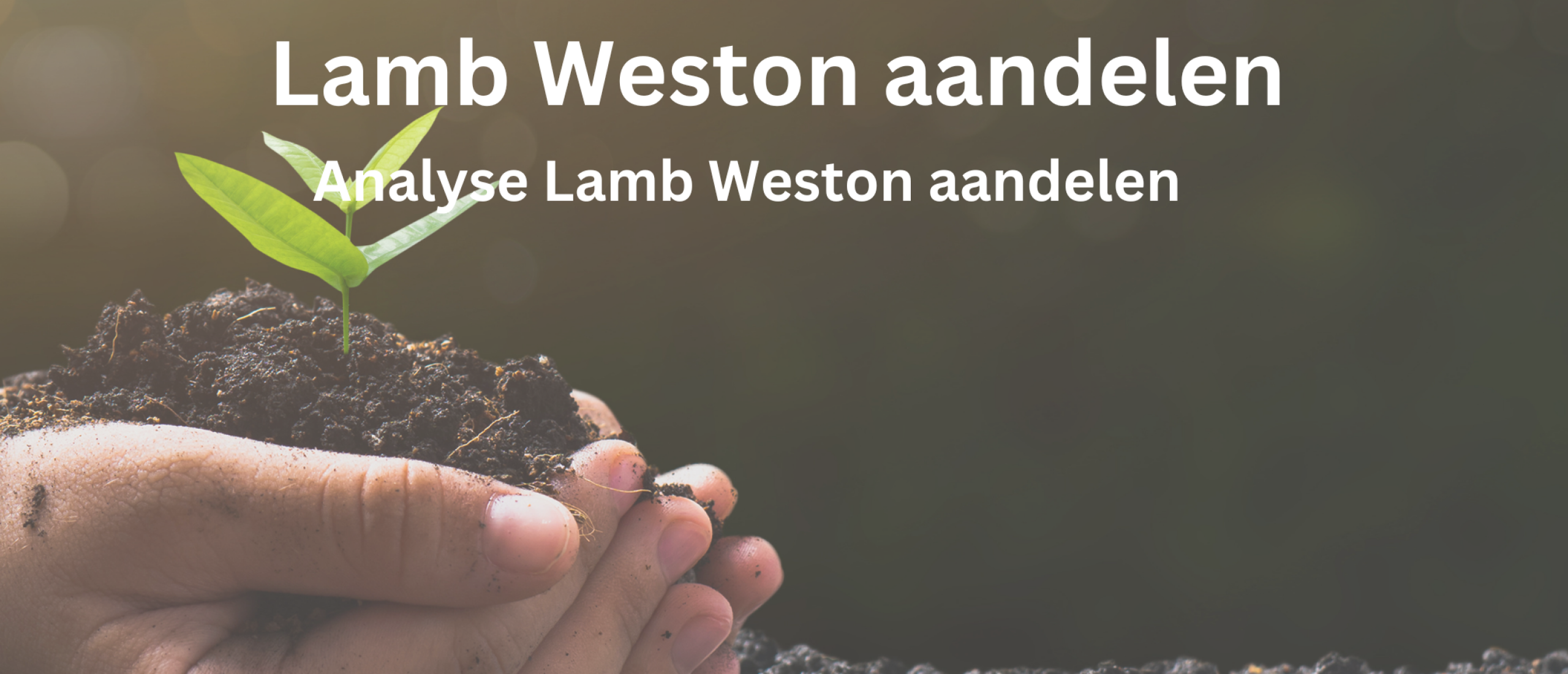 Lamb Weston Holdings aandelen kopen? Analyse +31,2% Groei | Happy Investors