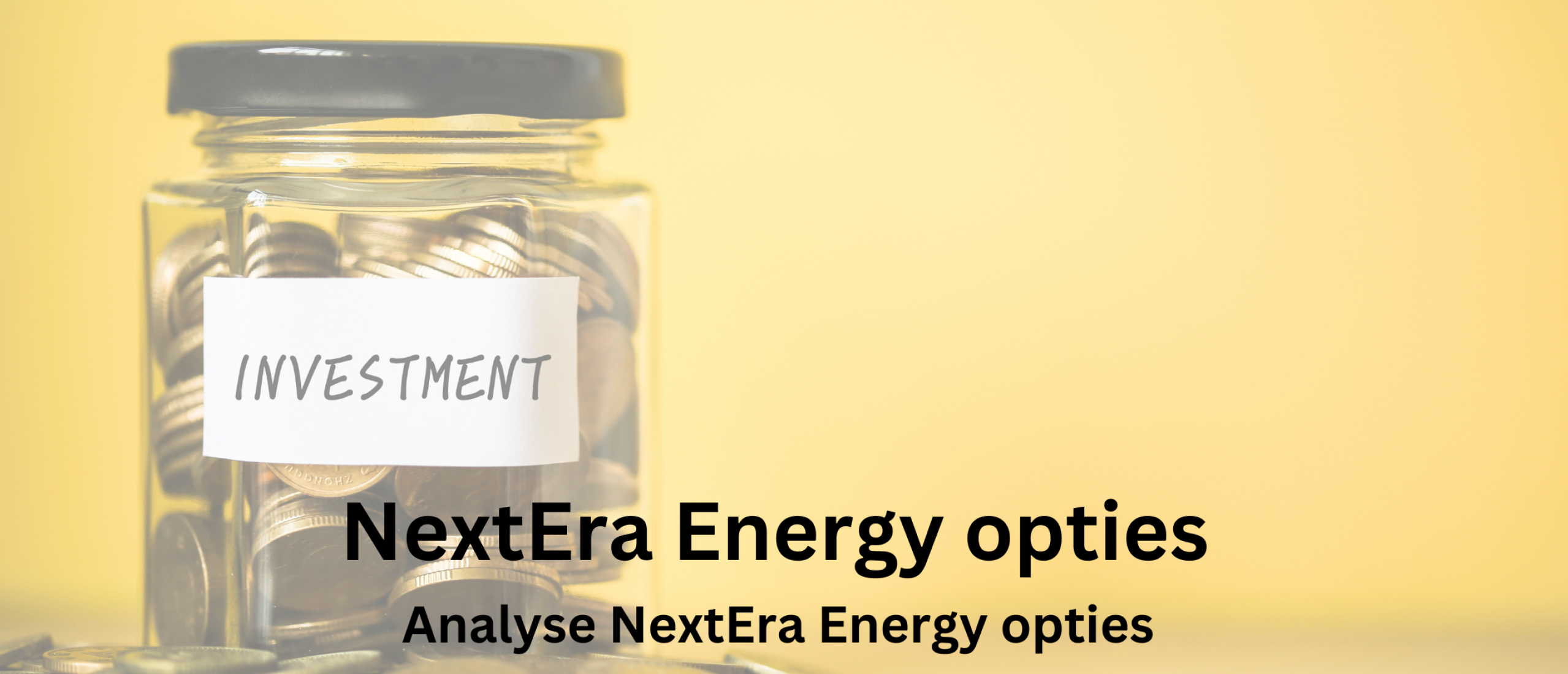 nextera-energy-opties-