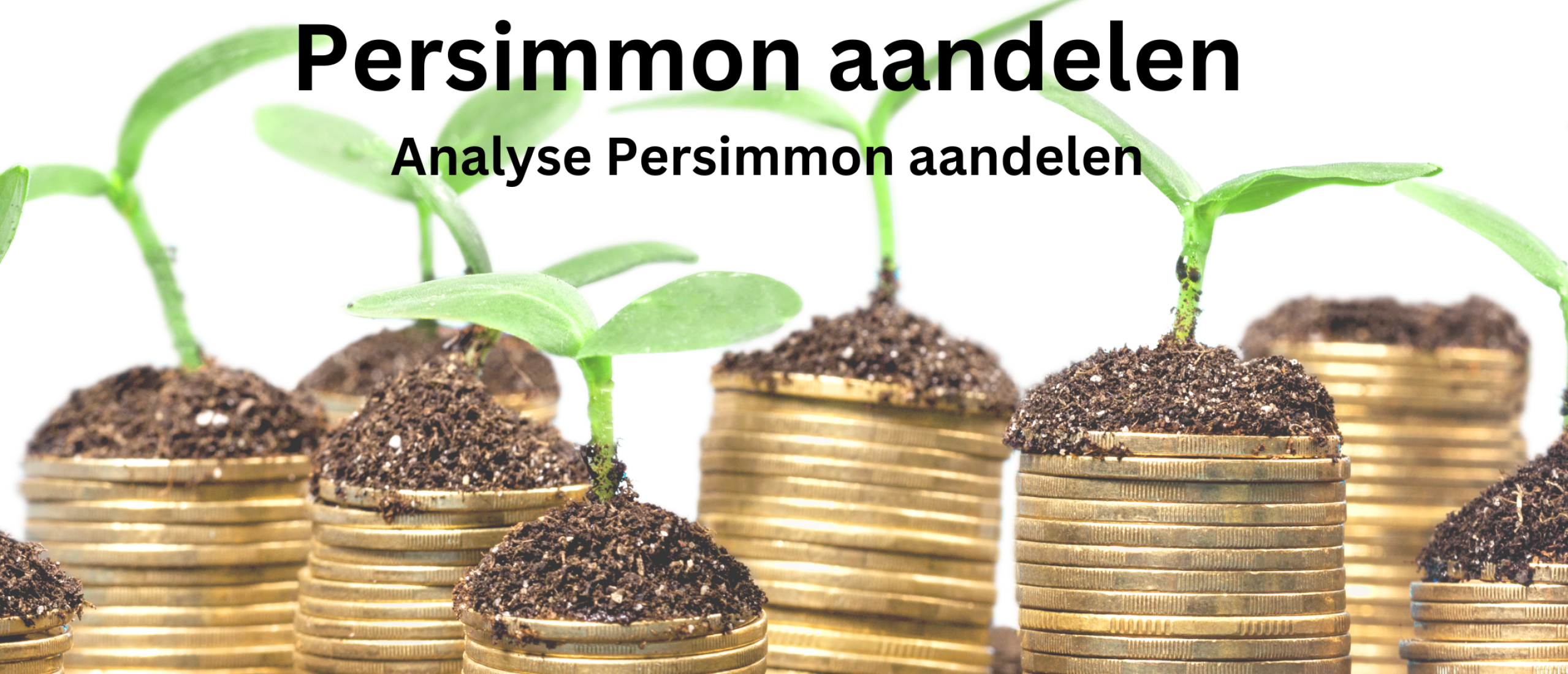 persimmon-analyse-groei
