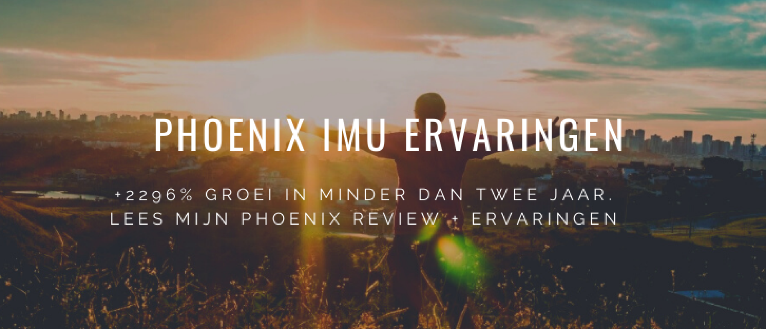 phoenix-software-review