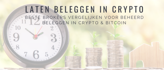 Hoeveel Maandelijks Beleggen In Crypto En Bitcoin Voor Rijk Worden?