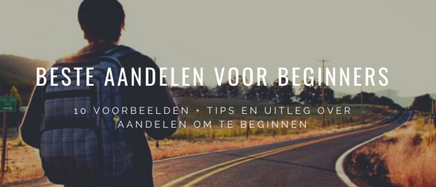 Beste Aandelen Voor Beginners: 10 Voorbeelden + Uitleg