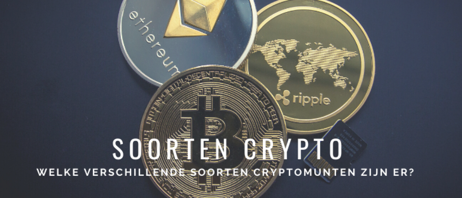 Soorten Cryptomunten Verschillen en Toepassingen Uitleg