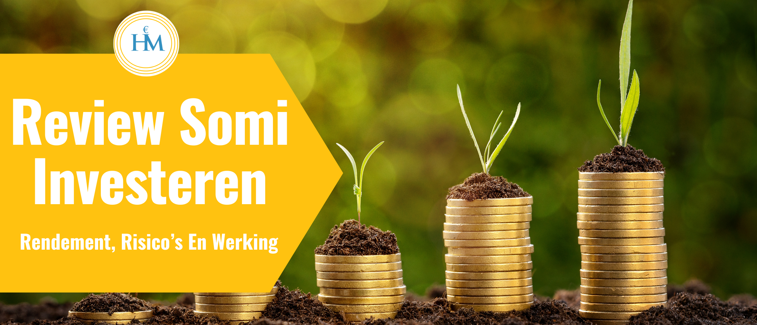 review-somi-investeren