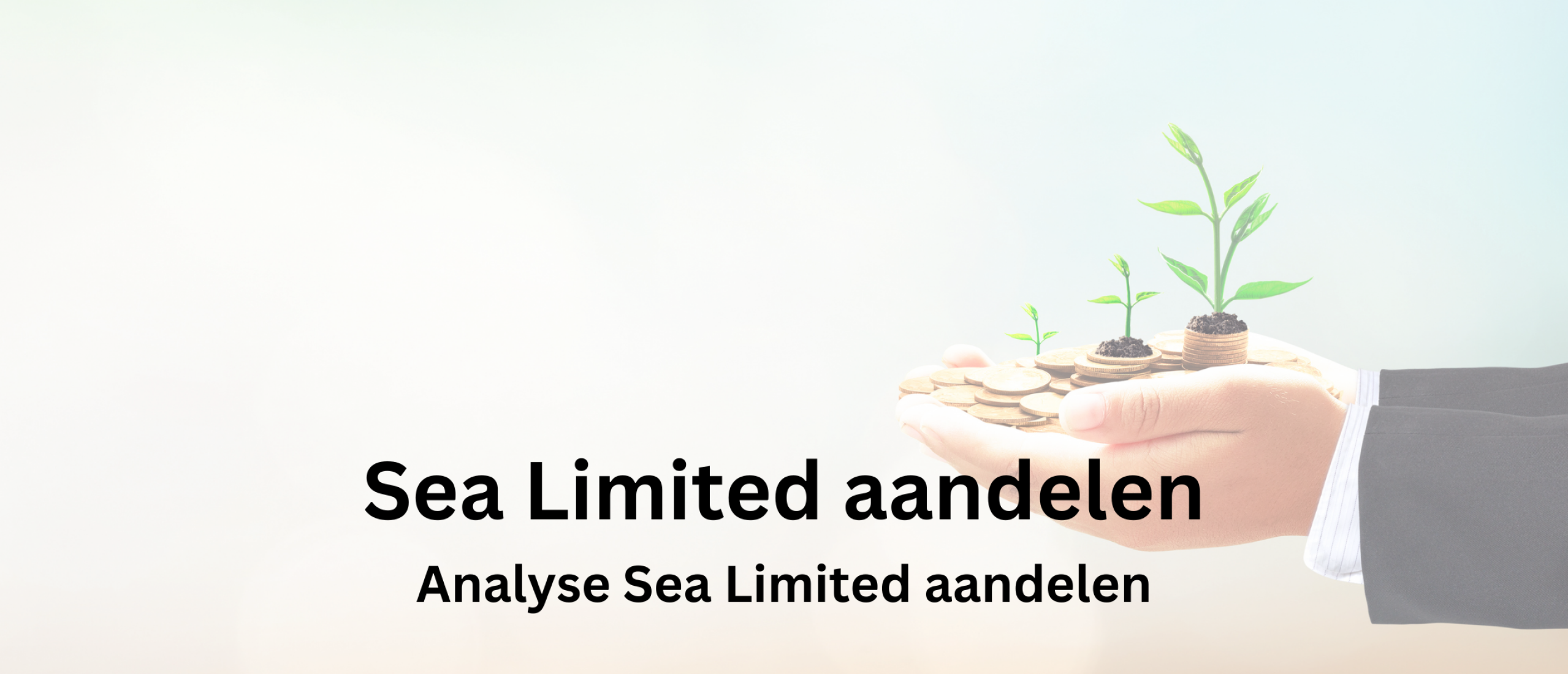 sea-limited-
