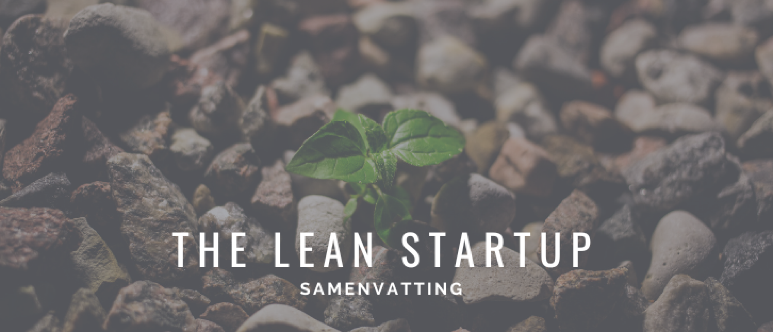 The Lean Startup Samenvattting | Happy Investors
