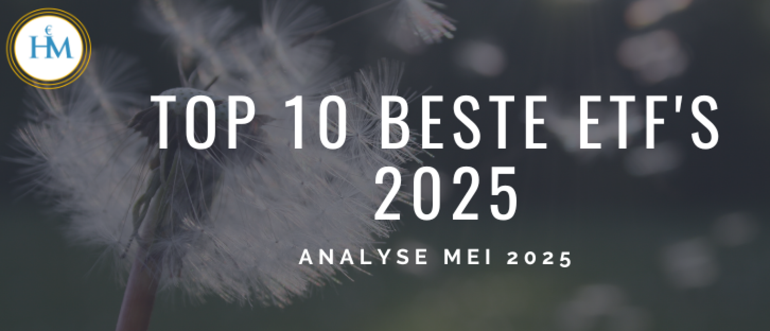 top-10-beste-etfs-mei-2025