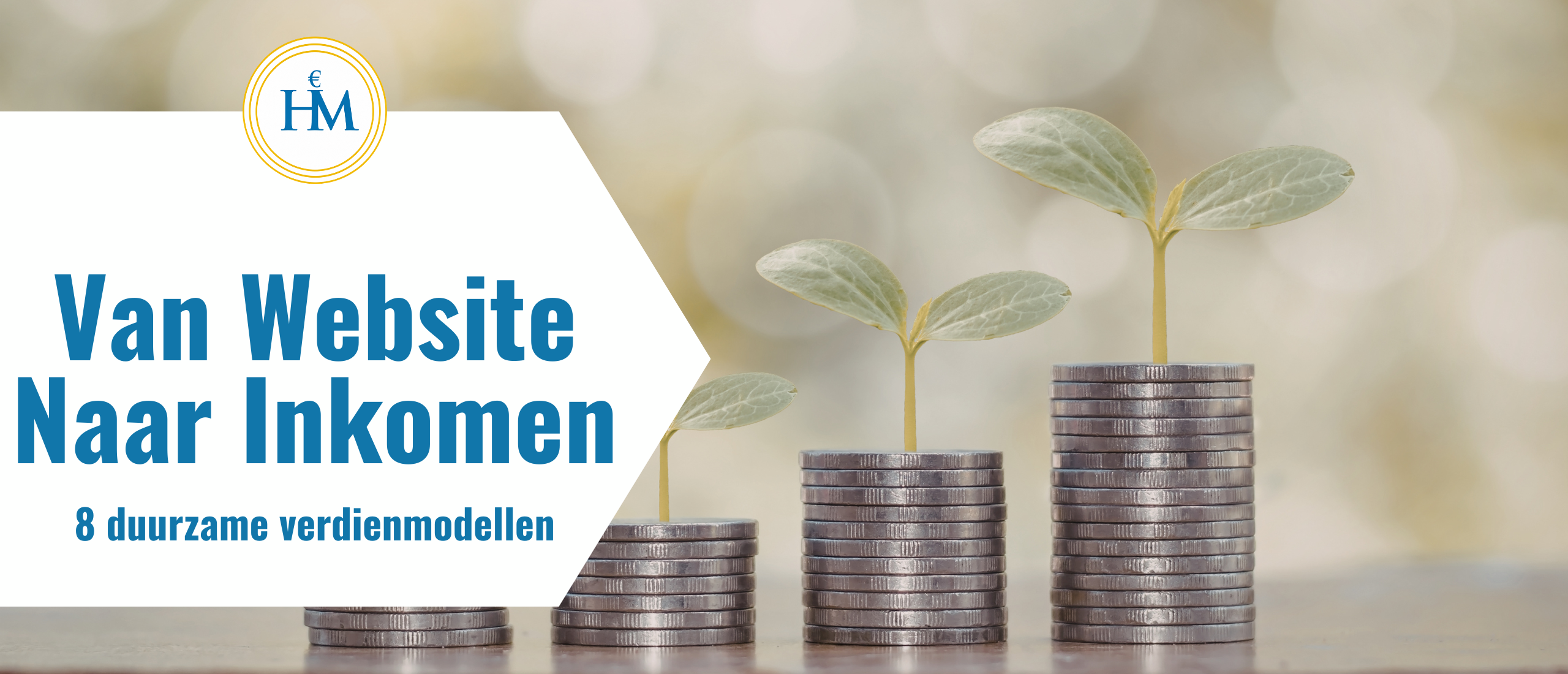 van-website-naar-inkomen